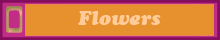 Still-lifes whit flowers